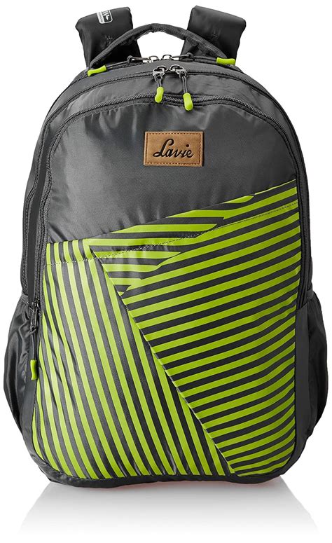 Lavie 30 Ltrs Dark Grey Casual Backpack (BUEI336073M3) : Amazon.in ...