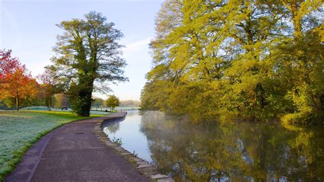 Squoji Hunt - Riverside Park - Squoji