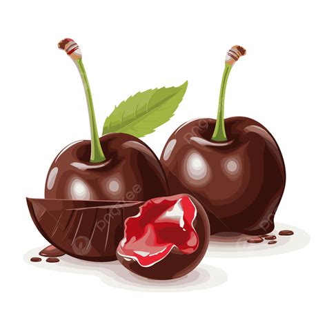 Chocolate Covered Cherries Clipart Chocolate Cherry Isolated On White ...