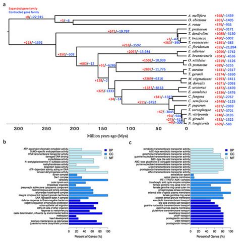 Genome Assembly and Comparative Analysis of the Egg Parasitoid Wasp ...