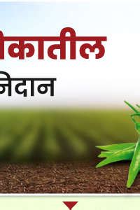 Agri Shop