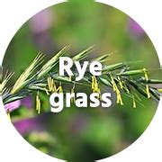 Suppresses 16 types of pollen that are scattered all year round in ...