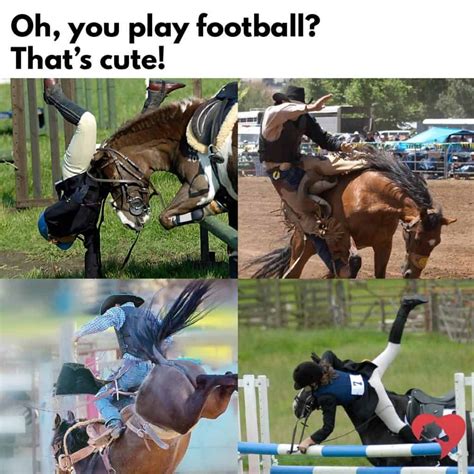17 Of Our Favorite Equestrian Memes | Funny horses, Cute horses ...