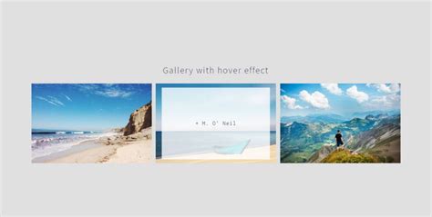 Image result for Gallery Layout Design HTML and CSS