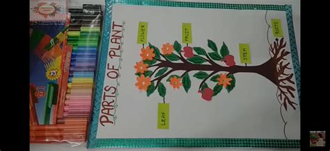 Project Work for Science 的图像结果