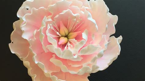Image result for Gumpaste Flower Tutorial