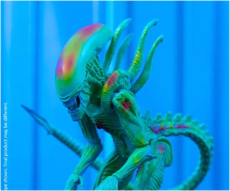 Alien AVP Mahalo 的图像结果