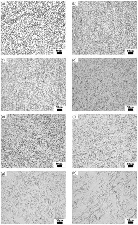 Study on the Austenite Grain Growth Behavior of Fe-Mn-Al-C Low-Density ...