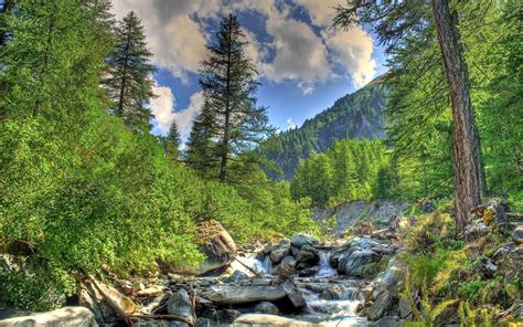 Real Nature 的图像结果