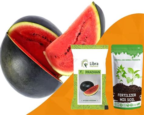 Tarbuch Seeds for Planting | Black Watermelon | Home | Garden | Kitchen ...