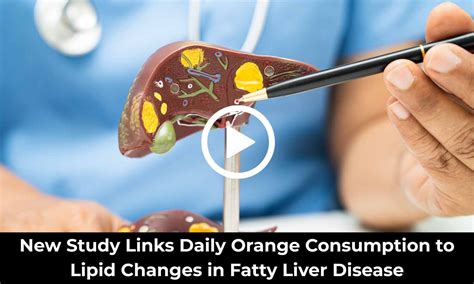 New Study Links Daily Orange Consumption to Lipid Changes in Fatty ...