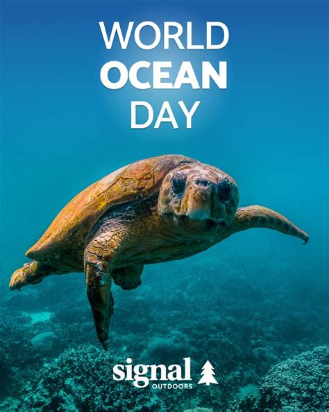 Signal Group DC on LinkedIn: #worldoceanday