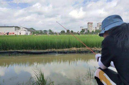 已婚女梦见钓鱼象征要怀孕是什么意思预兆 - 原版周公解梦大全