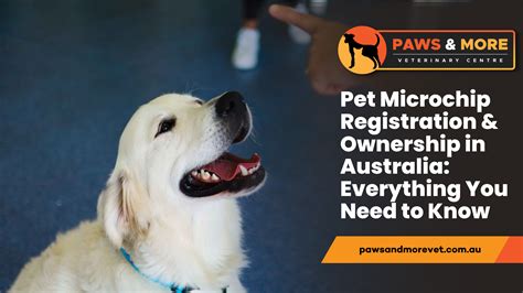 Pet Microchip Registries at Eileen Towner blog