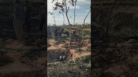 Oxygen Forest | Pranavayu vanam