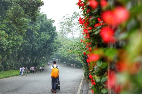 Adventures in PEI and Beyond!: BaiYun Mountain, A Must See Place in ...