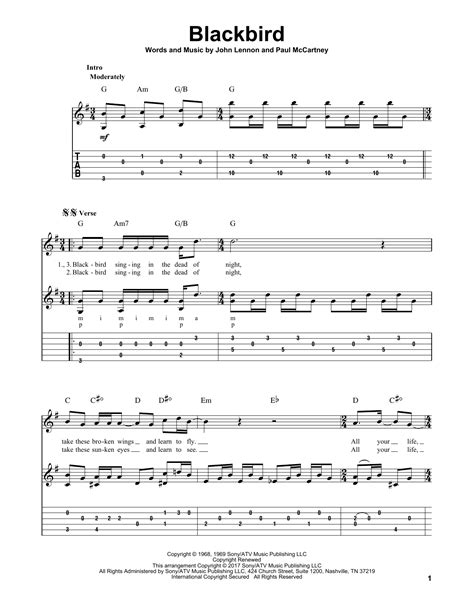 Blackbird by The Beatles - Solo Guitar - Guitar Instructor