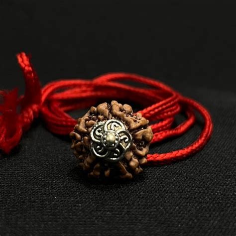 5 Mukhi Nepali Rudraksha - Paanch Mukhi – Japam