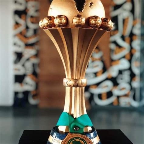 Image result for Can You Eat Python's