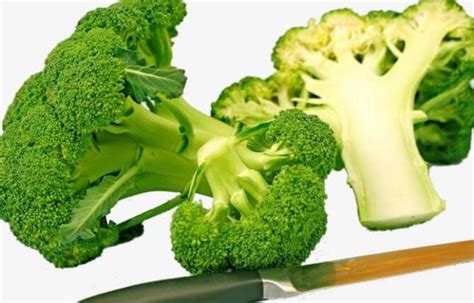 越吃越瘦的10种蔬菜 - 鲜淘网