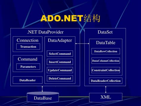 DataReader 的图像结果