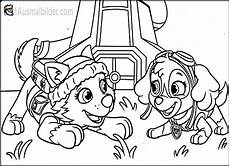 malvorlagen paw patrol sky 1ausmalbilder malvorlagen paw patrol sky 1ausmalbilder