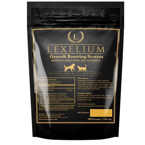 Increase Dog Appetite