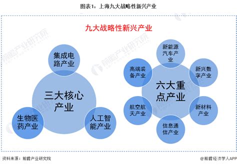 【深度】2022年上海产业结构之九大战略性新兴产业全景图谱(附产业空间布局、产业增加值、各地区发展差异等)_行业研究报告 - 钱柜网