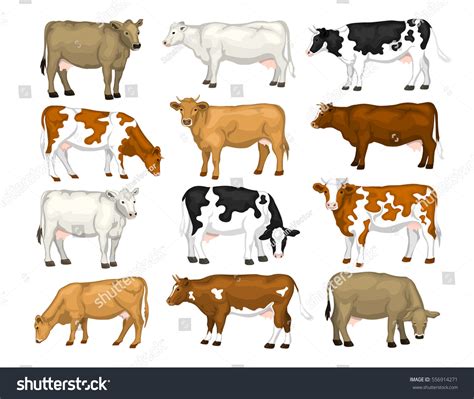 1,323,173 Cow Images, Stock Photos & Vectors | Shutterstock