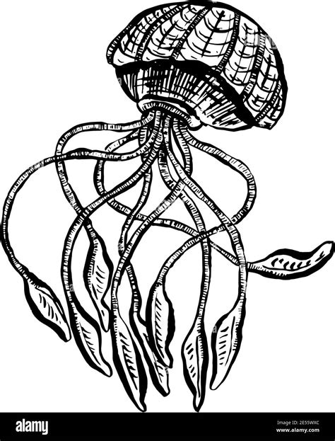 Deep Ocean Jellyfish