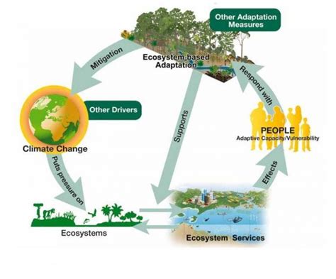 Native American Climate Change Adaptation