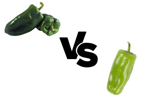 Poblano Pepper vs Anaheim (Heat, Flavor, Size, Nutrition, and Subs!)