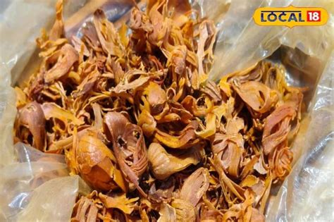 Mace Benefits: మగవాళ్లకు ఆ విషయంలో ఇది సంజీవనితో సమానం.. ఎలా వాడాలంటే ...