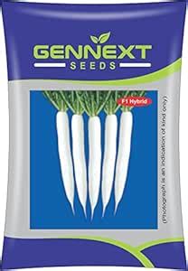 F1 Hybrid Radish Seeds by Gennext Seeds (Pack of 2) : Amazon.in: Garden ...