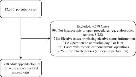 Appendectomy / Appendectomy Procedure Purpose Results Cost Price - Elvira Korovina