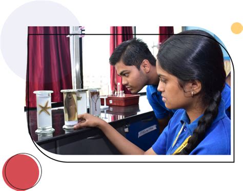 Academic Programs | School near me | Lexicon School Wagholi