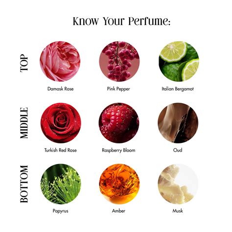 Rose Oud- Clean Perfume™ (EDP) – Secret Alchemist