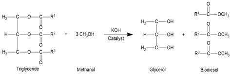 Production and Characterization of Biodiesel Derived from a Novel ...