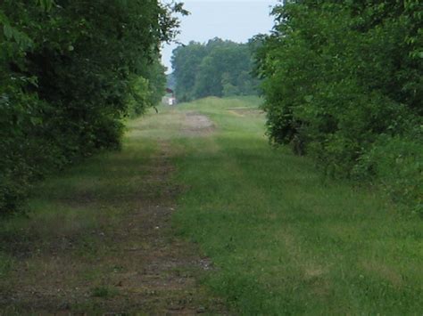 Elevation of Swanton, OH, USA - MAPLOGS