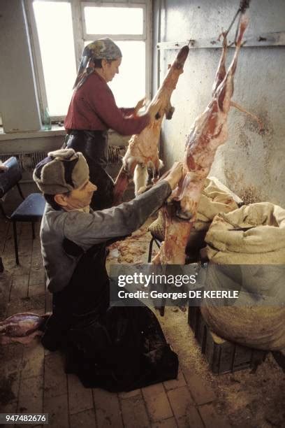 Image result for Skinning Python