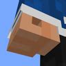 Image result for Custom Hands Minecraft Mod