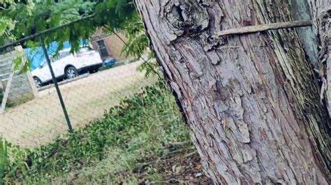 Discover more like Astrologymemes: How an Aries sun/rising/venus with ...