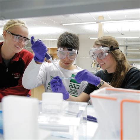 Molecular Engineering Applications 的图像结果