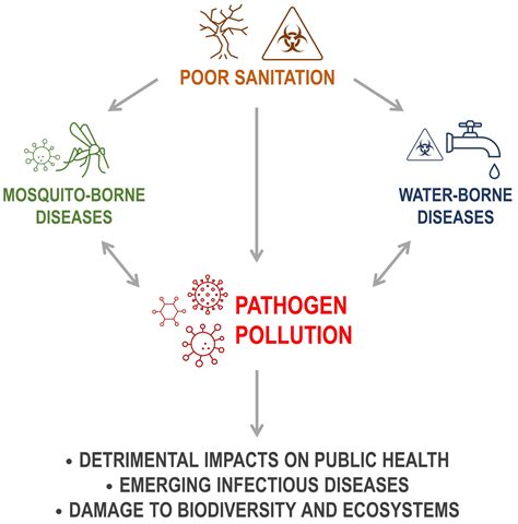Pathogen Pollution: Viral Diseases Associated with Poor Sanitation in Brazil