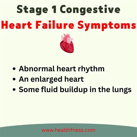 What Are The 4 Stages Of Congestive Heart Failure: From Stage 1 to Stage 4 | HealthFness
