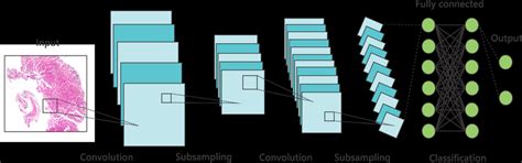 Convolution Network 的图像结果