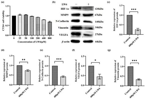 Donkey Oil-Based Ketogenic Diet Prevents Tumor Progression by ...