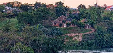 Image result for jinja