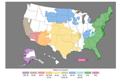 Why Is Rabies Rare In The Us