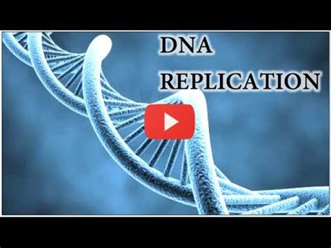 Image result for Advanced DNA Replication Animation